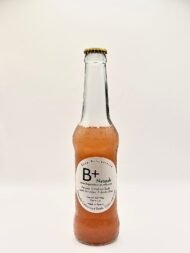 Artisanal Soda - Lacto Fermented Strawberry