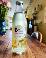 Mint Infused Green Tea Kombucha - Image 5