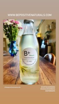 Rosemary Infused Green Tea Kombucha - Image 4