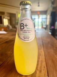 Artisanal Soda - Lacto Fermented Peach - Image 2