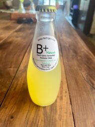 Artisanal Soda - Lacto Fermented Peach